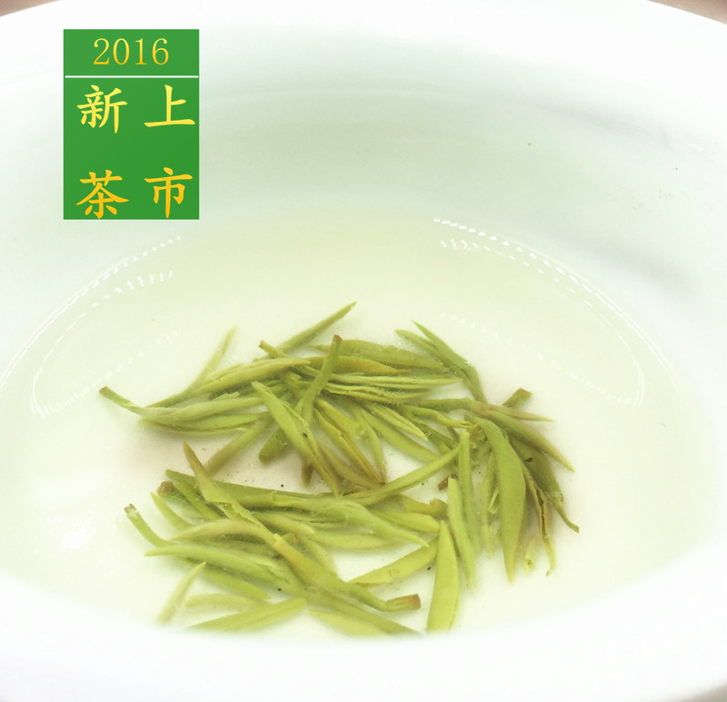 2016新茶洞庭山碧螺春特级明前头采 苏州东山西山绿茶散装100G