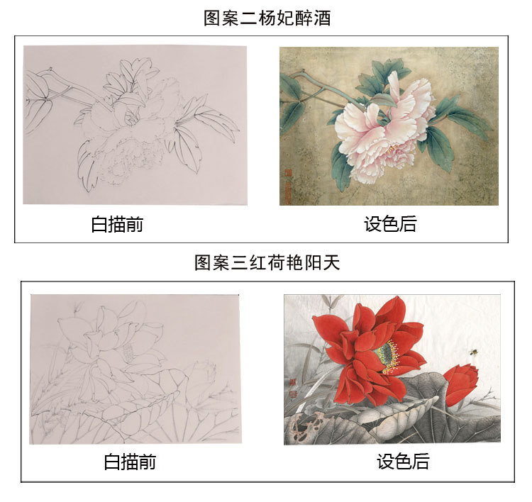 g4工笔画白描底稿临摹练习初学者入门中国画寿桃牡丹花勾线熟宣纸