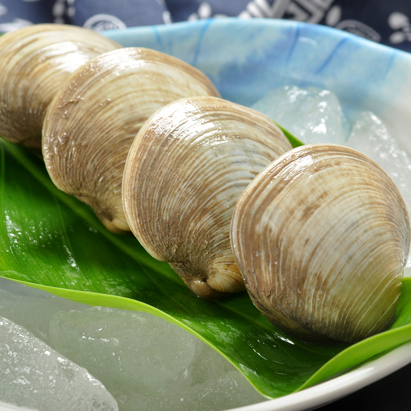 连云港野生新鲜白蛏子海捕贝类无沙蛤蜊白蛤鲜活花甲海鲜水产活的 - 360购物