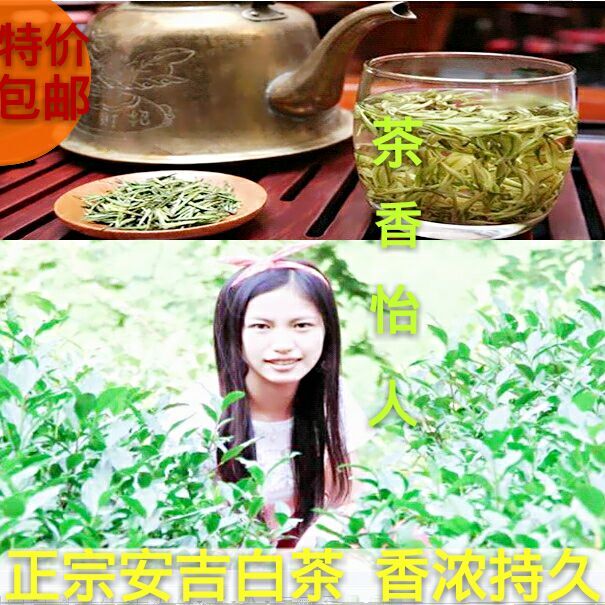 安吉白茶2016新茶高山茶叶明前正宗特级吉安礼盒装艺福堂牛蛙250g