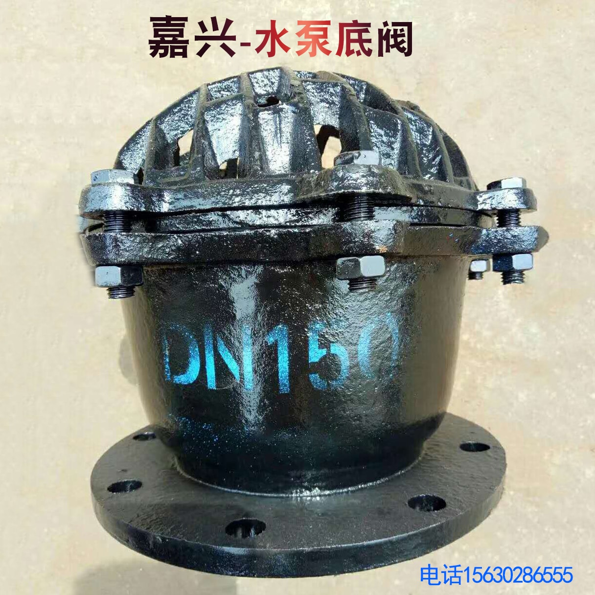 5 铸铁法兰底阀 铸铁底阀 灰铸铁法兰底阀 dn80