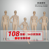 店塑料模特道具女橱窗 人体仿真 模特道具女全身 服装 韩式 女装