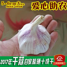 2017年干大蒜5斤 包邮 新鲜蒜紫皮蒜头河南大蒜头低价 十成干