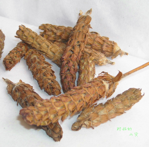 正品中药材 夏枯球 夏枯草 白花草纯野生 棒槌草 250g 满68元包邮