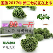 包邮 三七花2017年新三七花云南文山特产四年生特级田七花500克