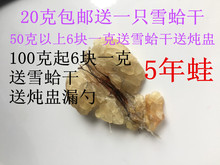 送蛙干50克送炖盅泡发100倍独立包装 包邮 长白山林蛙油雪蛤油20克