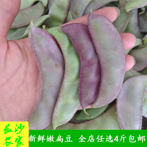 新鲜扁豆 现摘农家蔬菜 紫色眉豆 500g