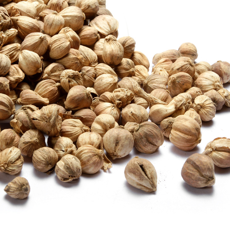 白蔻50g白豆蔻白扣白寇仁八角花椒桂皮烧菜火锅香料调料6件包邮