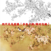 HF15高清工笔画白描底稿周光耀四尺花鸟国画樱花实物临摹练习线稿