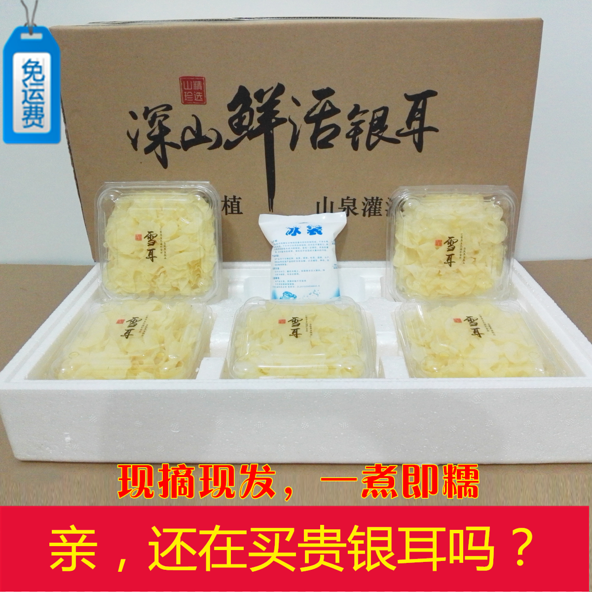 新鲜银耳活耳白木耳雪耳 正宗古田银耳干货特级5朵盒装 包糯包稠