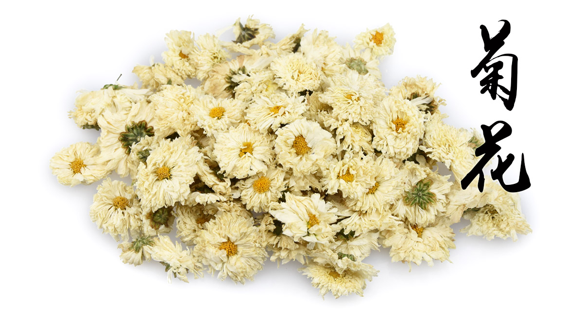 贡菊500克包邮 黄山贡菊花茶 中草药材供应 白菊花 七月菊 杭菊
