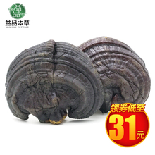 紫灵芝1斤半野生灵芝片纯天然500g整枝种植干灵芝长白山灵芝