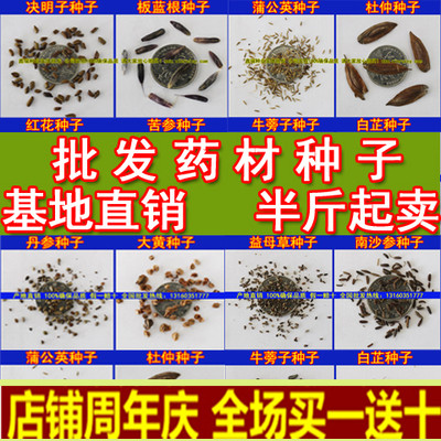 批发中药材板蓝根党参杜仲柴胡决明子红花桔梗黄芪柴胡白芷药种子