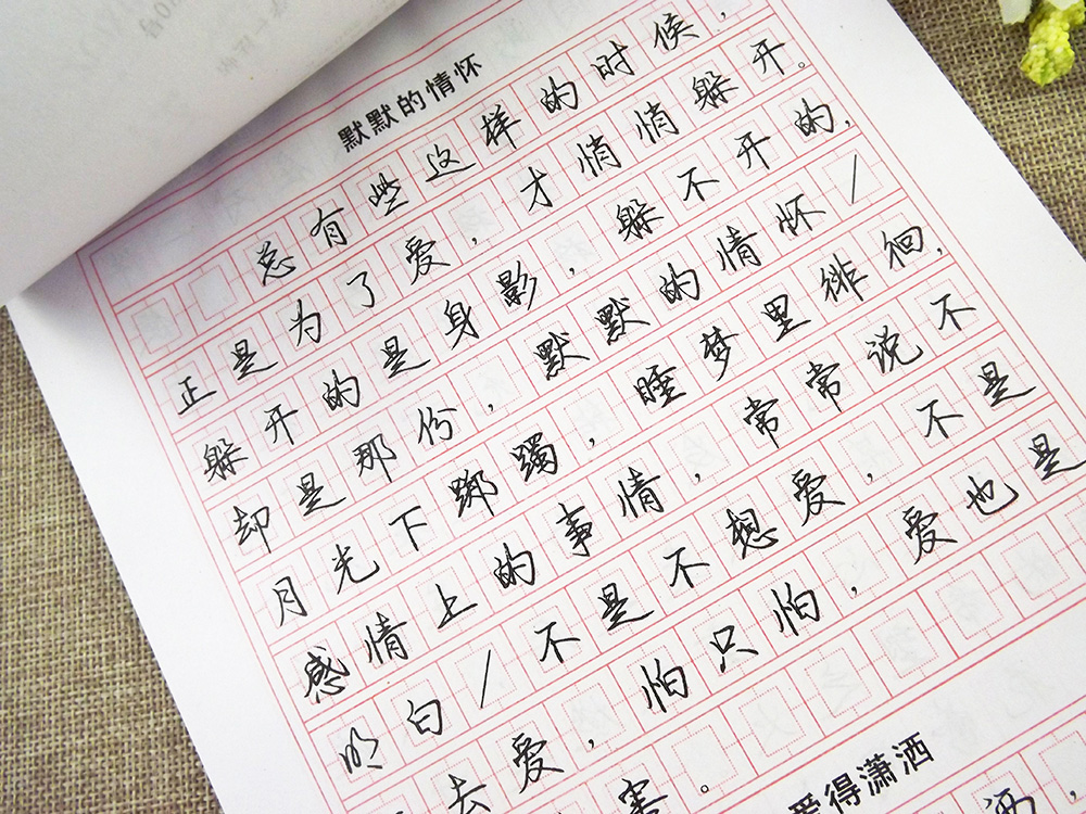 硬笔书法入门练字帖钢笔速成字帖附临摹纸 先临后摹再描红 中小学生