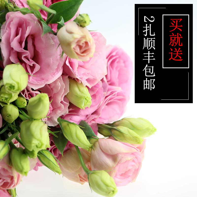 满99包邮洋桔梗龙胆鲜花批发云南昆明鲜切花婚礼家庭插花全国速递