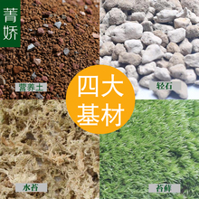 苔藓微景观diy材料包 微景观生态瓶制作营养土轻石水苔 菁娇