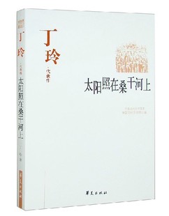【特价】小说 国家行动小说 著 程琳 官场小说 