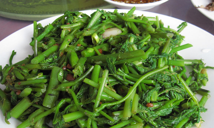 苦力芽 承德山野菜 苦木 苦隆芽 苦力芽 野芹菜升麻菜 新鲜嫩蔬菜