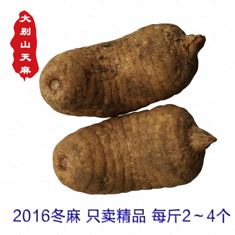 2016新鲜天麻金寨大别山野生种植特级鲜天麻冬麻深山特产500g包邮