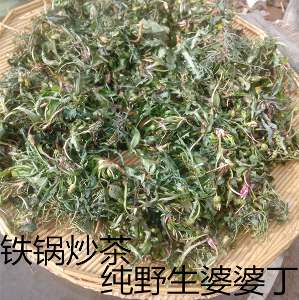 纯天然野生蒲公英茶整棵铁锅炒制蒲公英茶干货婆婆丁包邮