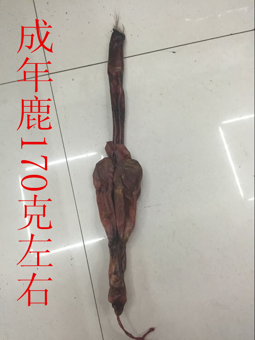 干鹿鞭 梅花鹿整枝鹿鞭 东北长白山成年种鹿 纯正保真 泡酒料包邮