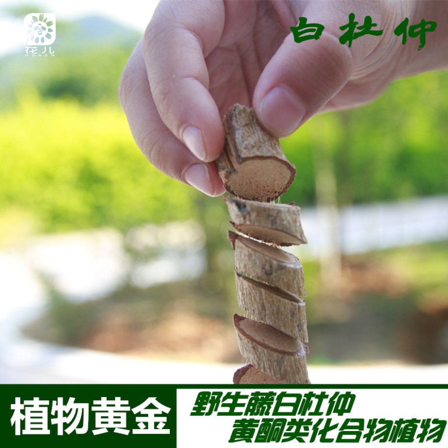 正宗深山野生中药材红皮杜仲白皮杜仲养身茶老火汤料500g1件包邮