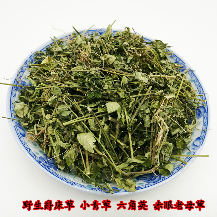 小青草 爵床草 辣椒草 香苏 四季青 赤眼老母草 爵卿 麦穗红 野生