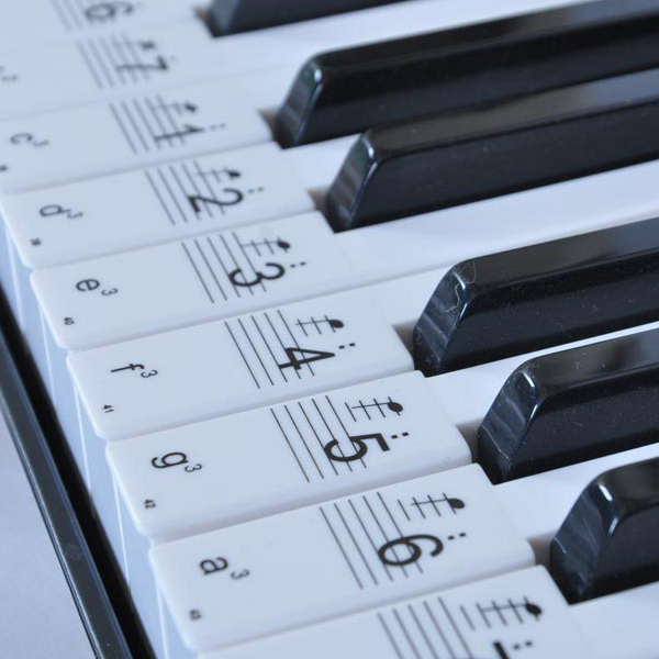 电子琴键盘贴61键54键通用 透明五线谱简谱键位贴 电子琴自学入门