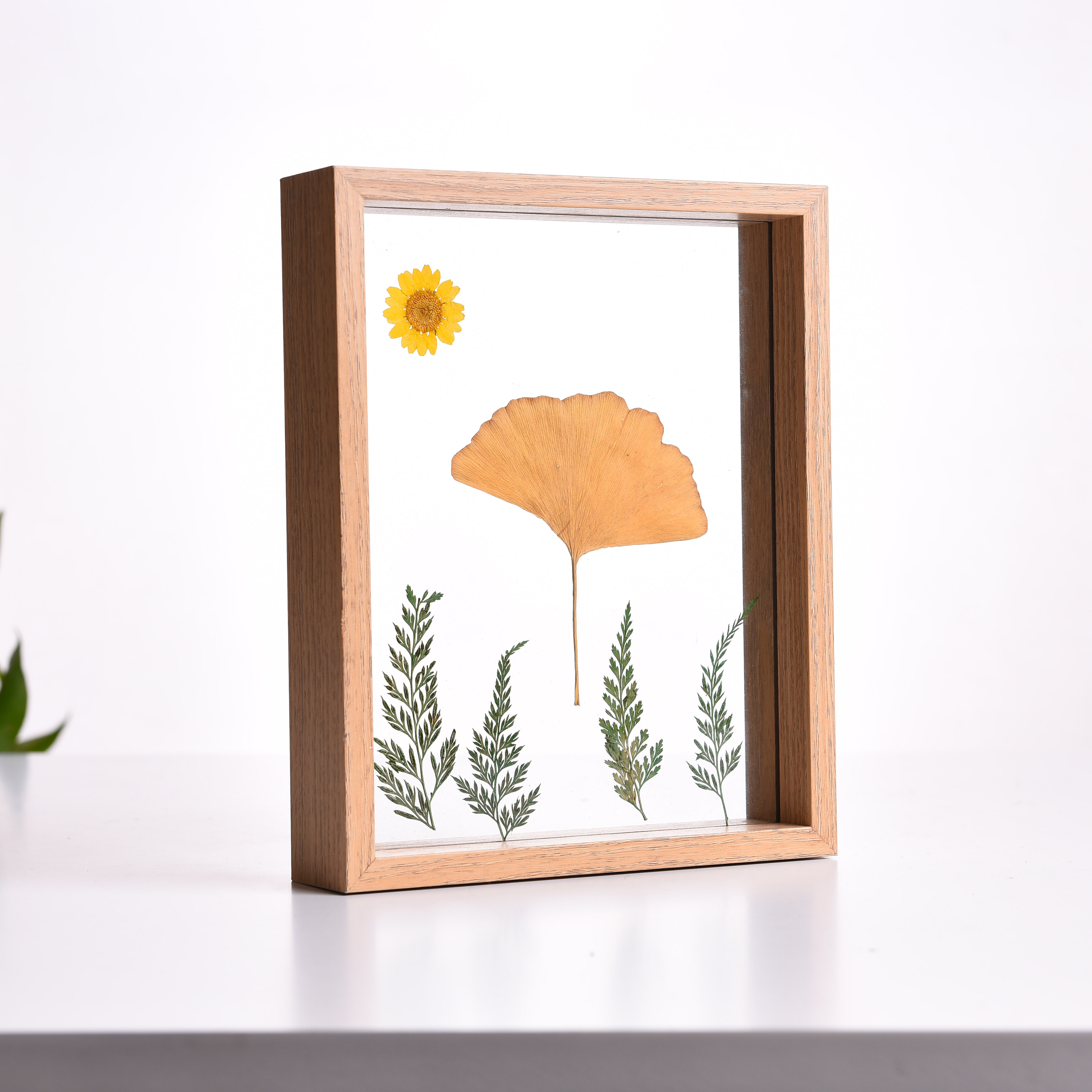 创意植物昆虫标本框 双面透明玻璃单框蝴蝶标本干花相框夹a4摆台