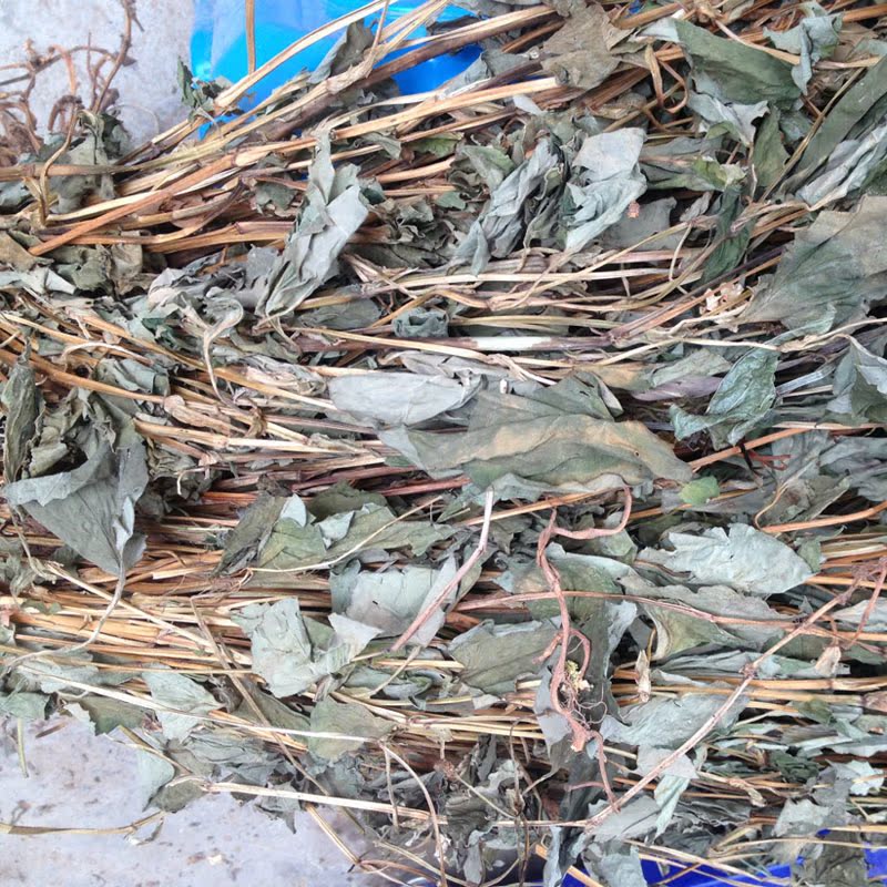 农家野生鱼腥草干 纯天然鱼腥草凉茶 鱼腥草干货中药材散装 包邮