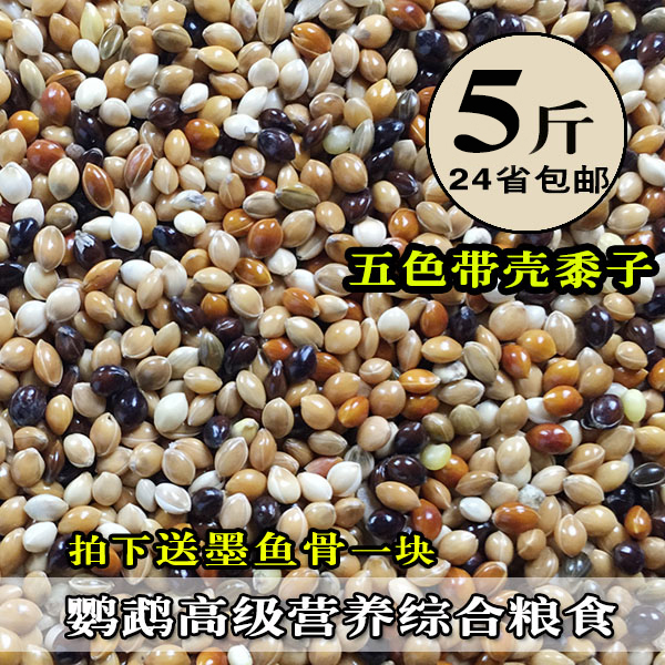 虎皮玄风牡丹小太阳鹦鹉粮食红黄黑五色黍子混合鸟粮鸟食饲料包邮