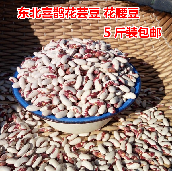 东北花芸豆5斤 喜鹊花芸豆花腰豆农家自产新饭豆花芸豆