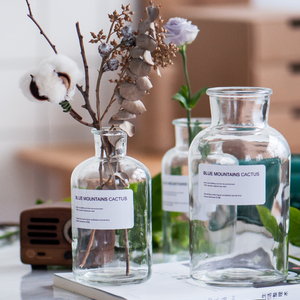 北欧ins风透明玻璃花瓶