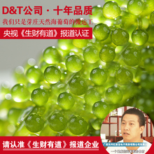 包邮 央视报道 200g 越南芽庄海葡萄绿色鱼子酱料理寿司海藻