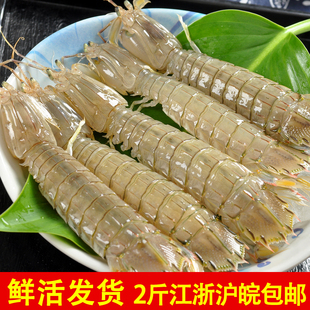 Ϻ500gʺϺƤƤϺʻˮϺϺϺСϺ