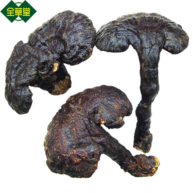 云南中号野生灵芝 紫芝 野生紫灵芝250g(10只内)