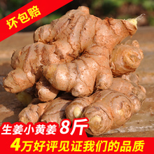 生姜8斤云南罗平农家土姜月子姜鲜姜老生姜 老姜新鲜生姜 小黄姜