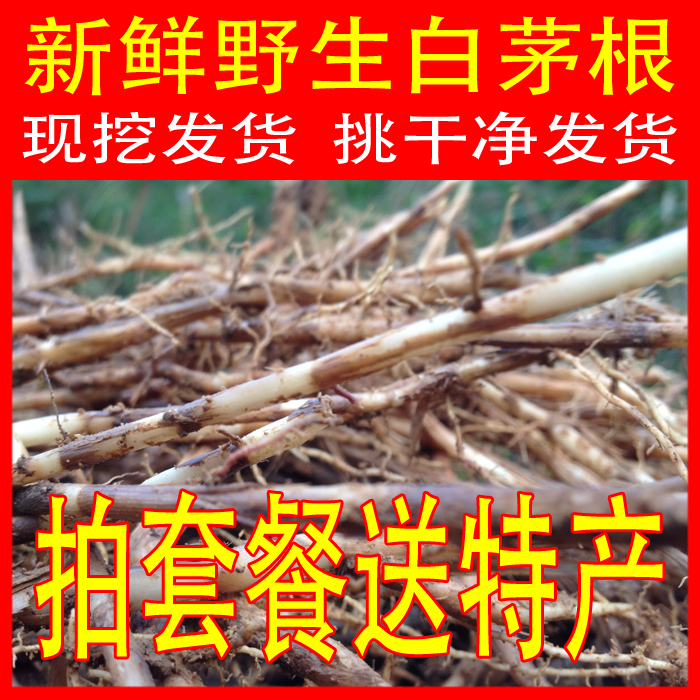 新鲜野生白茅根茅草根新鲜茅草根清热下火凉茶 白茅根500克包邮
