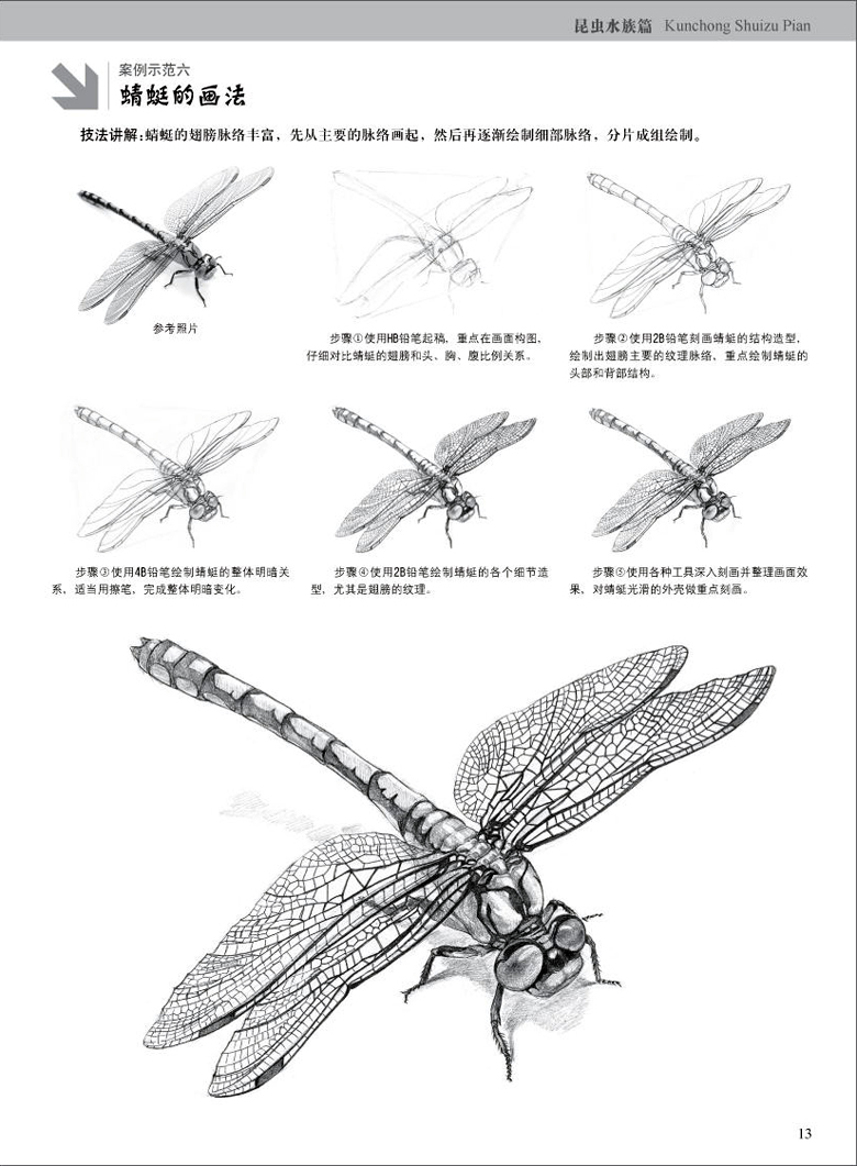 正版 素描铅笔画 昆虫水族篇/艺泽美术系列 手绘新手从入门到精通