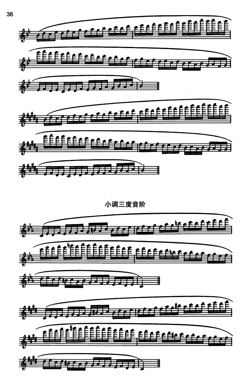 正版包邮 长笛实用手册第5册 呼吸和音阶 崔佛·怀长笛教材系列