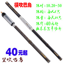 大D调 成人儿童金竹专业教学云南幽乐 降B 紫竹竖横吹巴乌C