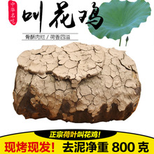叫花鸡 黄泥现烤叫化鸡净重800g熟食真空包装 包邮 正宗荷叶叫花鸡