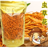 2件 批发 包邮 金虫草花孢子头干货滋补蛹虫草100g 干虫草花农家正品