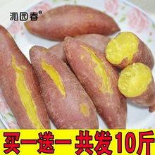 红薯新鲜板栗红薯蜜薯农家小香薯现挖烤地瓜沙地番薯山芋 沁园春
