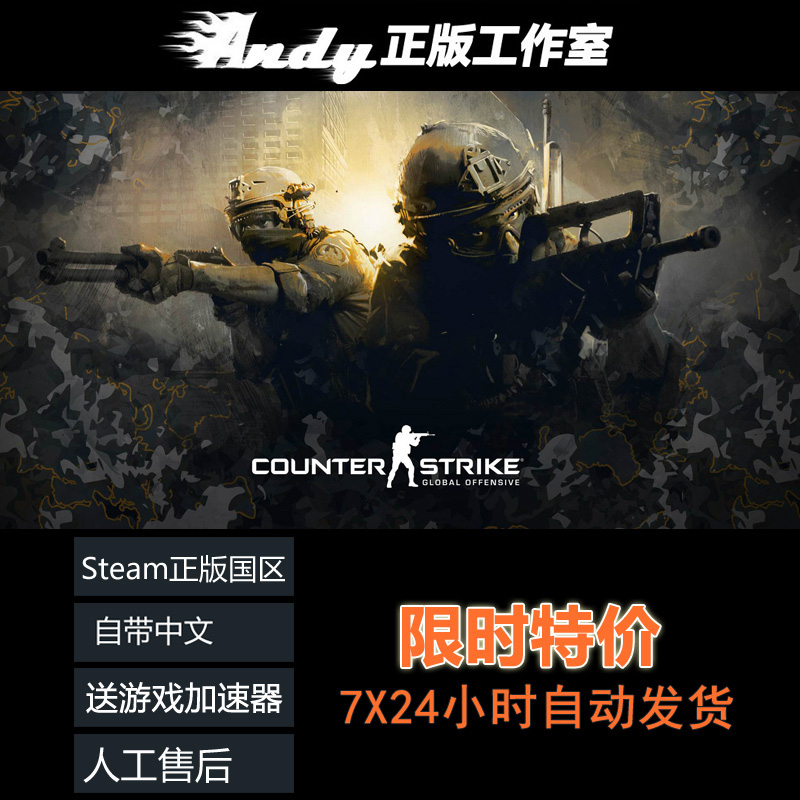 csgo cs:go 反恐精英全球攻势 国区 pc steam游戏代购正版 cs go$29.