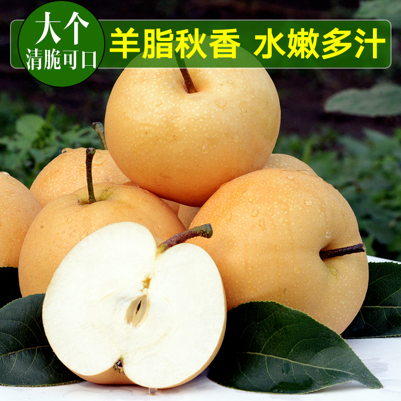 ˮ֬лƽװ900g