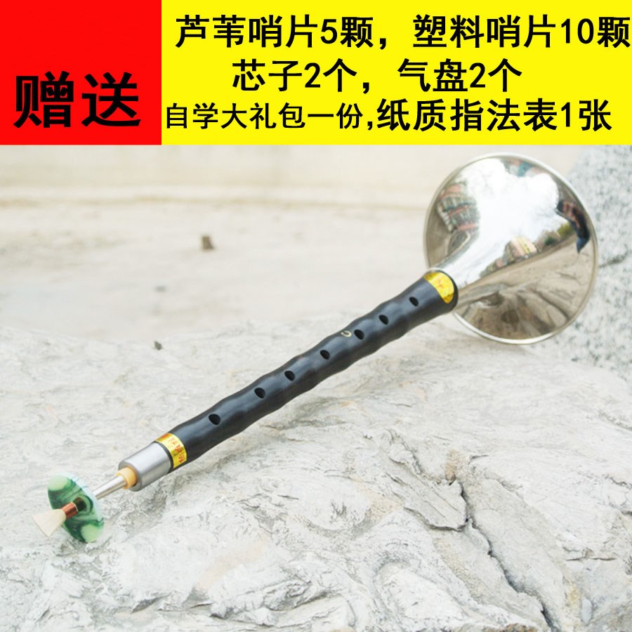唢呐乐器 初学者成人乌木唢呐c调全套民族吹奏乐器送哨片流行歌曲