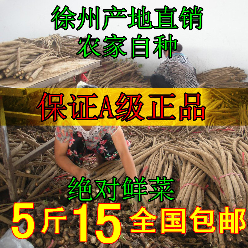 农家自种牛蒡 新鲜牛蒡根 特价包邮  当天拔出 当天发货