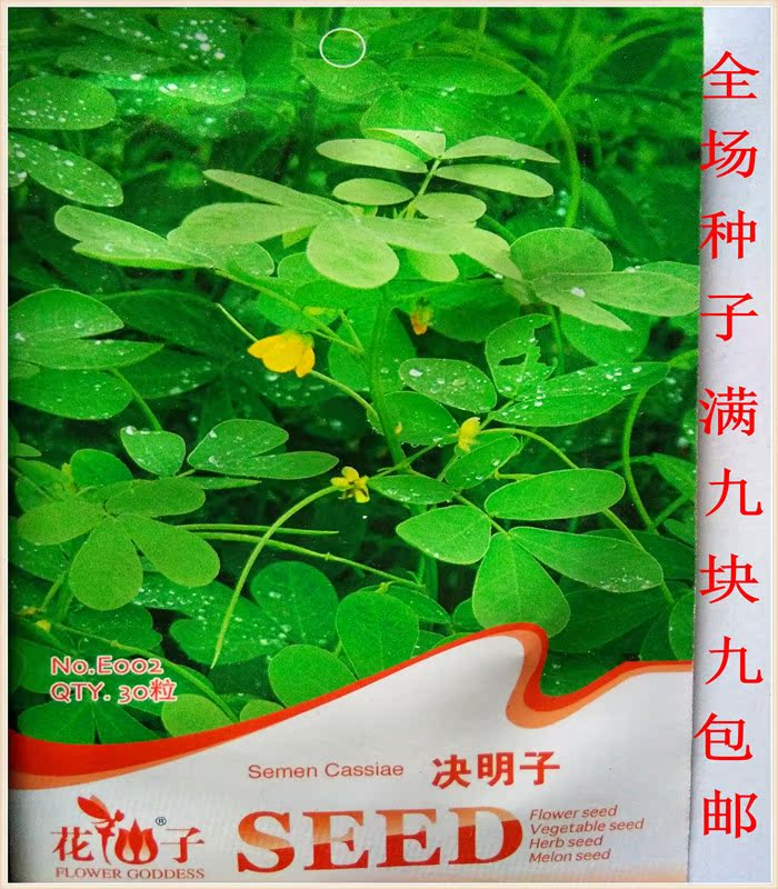 药材种子 白芷 桔梗 板蓝根 丹参 决明子种子 党参 柴胡 防风批发