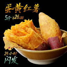 红薯新鲜 农家糯香红心山芋地瓜 湛江原生态沙地蛋黄番薯 包邮 5斤